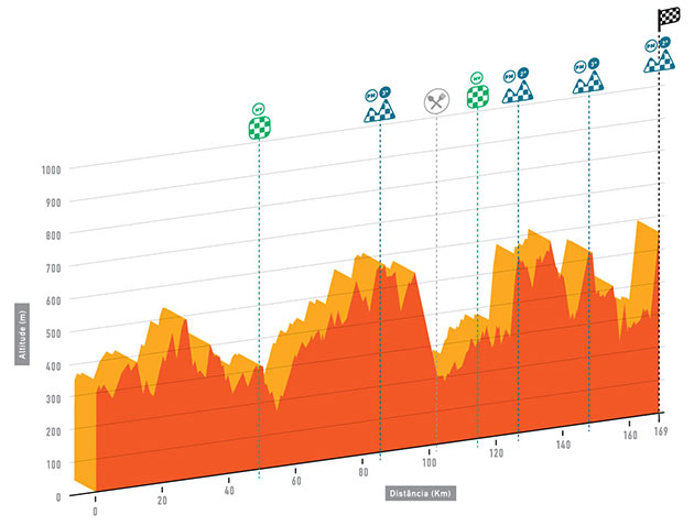 Stage 5 profile